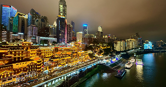 域名批量查询软件最新绿色版下载官方