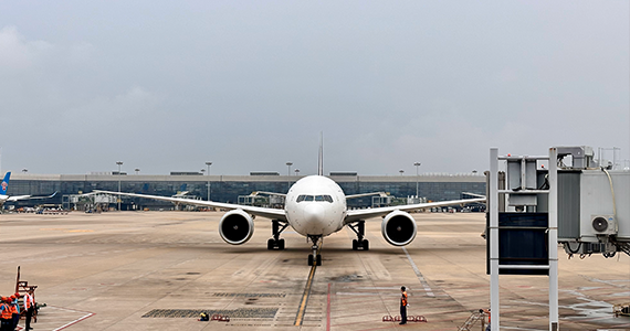 域名批量查询程序官方正式版网站是多少