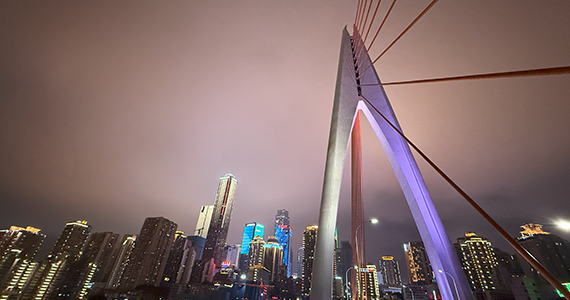 教育部网址域名查询网站官方