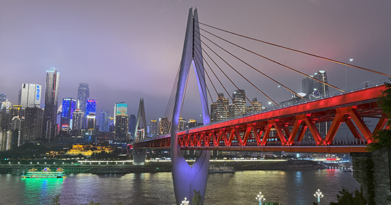 域名查询官方系统